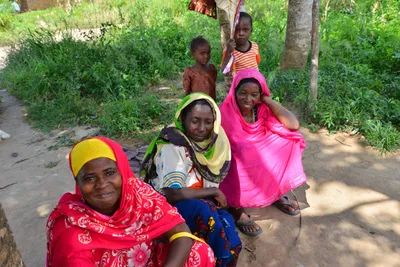 DSC_4824 (Large).JPG